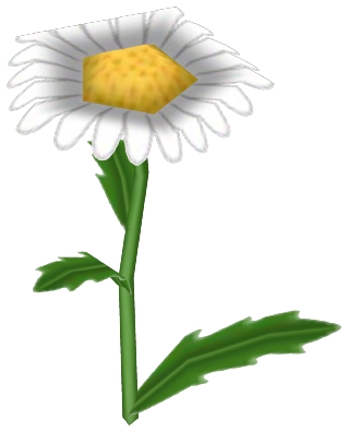Midsummer Daisy, a white flower in Toontown Rewritten