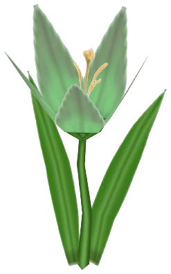Lily Pad, a green flower in Toontown Rewritten