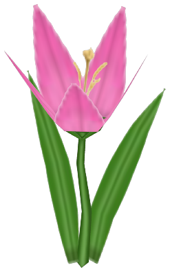 Livered Lily, a pink flower in Toontown Rewritten