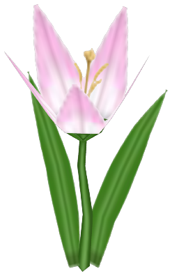 Lily-of-the-Alley, a white flower in Toontown Rewritten