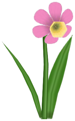 Time and a half-o-dil, a pink flower in Toontown Rewritten
