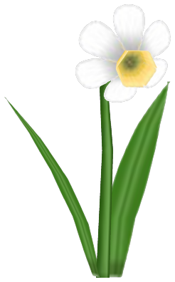 Daffy Dill, a white flower in Toontown Rewritten