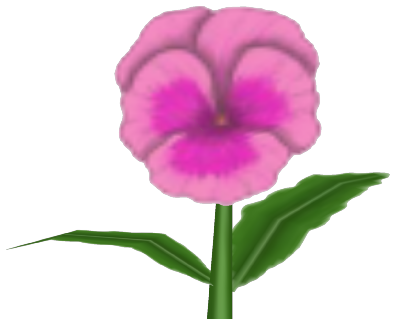 Smarty Pansy, a pink flower in Toontown Rewritten