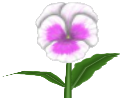 Chim Pansy, a white flower in Toontown Rewritten