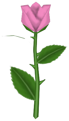 Tinted Rose, a pink flower in Toontown Rewritten