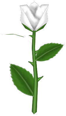 Stinking Rose, a white flower in Toontown Rewritten