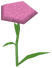 What-in Carnation, a pink flower in Toontown Rewritten