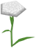 Side Carnation, a white flower in Toontown Rewritten