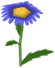 Upsy Daisy, a blue flower in Toontown Rewritten