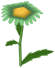 Crazy Daisy, a green flower in Toontown Rewritten