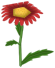 Freshasa Daisy, a red flower in Toontown Rewritten