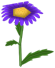 Hazy Dazy, a violet flower in Toontown Rewritten