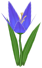 Indubitab Lily, a blue flower in Toontown Rewritten
