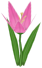 Livered Lily, a pink flower in Toontown Rewritten