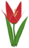 Chili Lily, a red flower in Toontown Rewritten