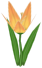Dilly Lilly, a yellow flower in Toontown Rewritten
