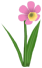 Time and a half-o-dil, a pink flower in Toontown Rewritten
