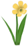 Giraff-o-dil, a yellow flower in Toontown Rewritten