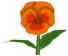 Dandy Pansy, a orange flower in Toontown Rewritten
