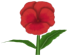 Potsen Pansy, a red flower in Toontown Rewritten