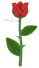 Summer's Last Rose, a red flower in Toontown Rewritten